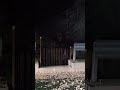 Ursoaica cu pui Trăisteni