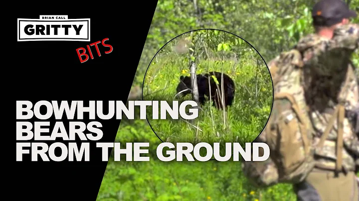 BOWHUNTING BEARS FROM THE GROUND! #GrittyBits
