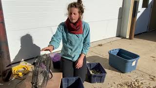 Saving Legume Seed