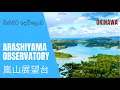 Best Scene You Would Ever See in Okinawa | Arashiyama Observatory