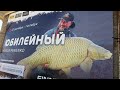Юбилейный кубок Миненко, турнир по трём крупным рыбам, рыбалка на сазана и карпа