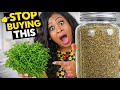 I Stopped Buying Dry Thyme. I Make This Instead. No Oven or Dehydrator.