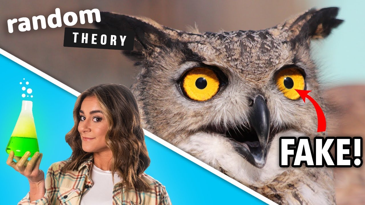 Animal Eyes Are WEIRD! - Random Theory EP. 16