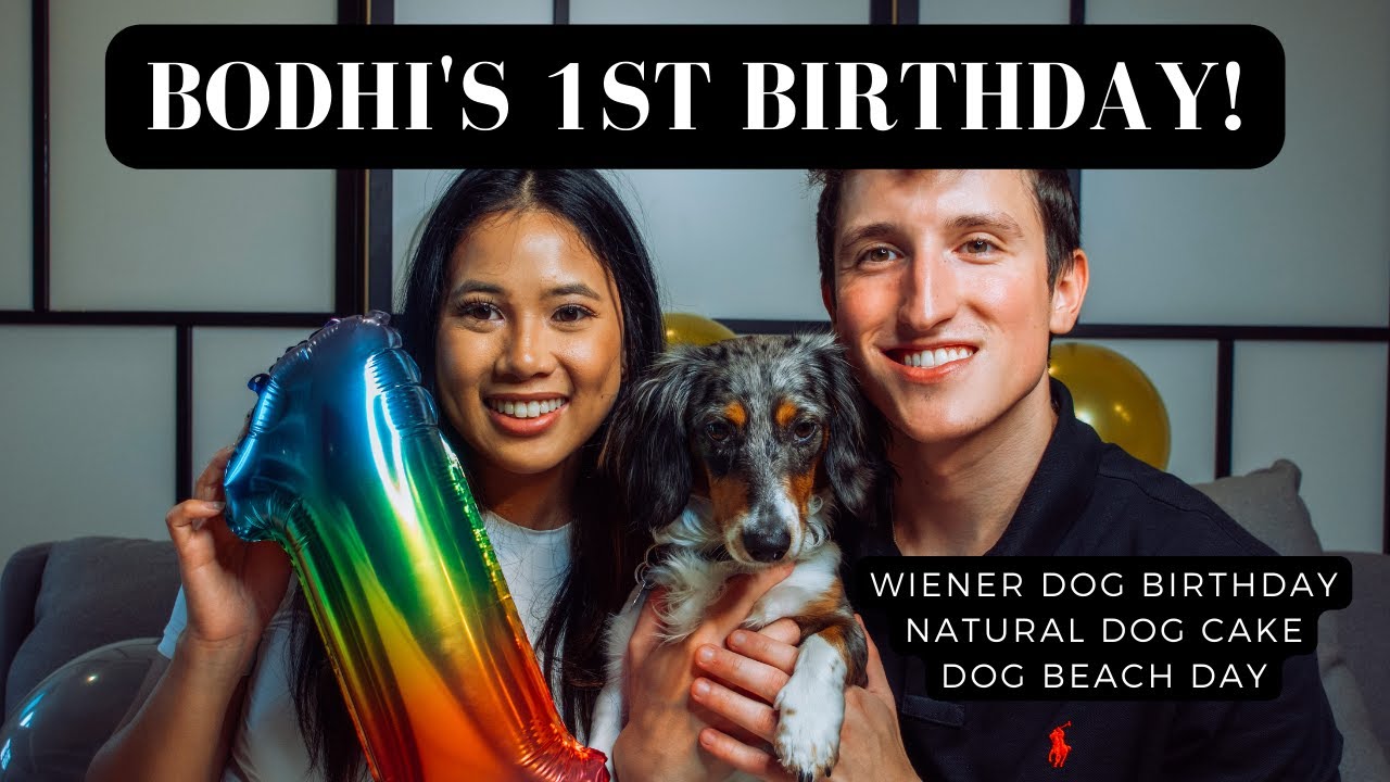 Bodhi's First Birthday Party! | Natural Dog Birthday Cake Recipe | Dachshund Puppy First Birthday