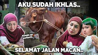 Download lagu I HAVE LET YOU GO.. FAREWELL MACAN..