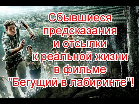 Сбывшиеся предсказания и отсылки к реальной жизни в фильме “Бегущий в лабиринте” #бегущийвлабиринте
