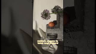 Renklerin Sırrı: Işık Ve Renk Teoriler.