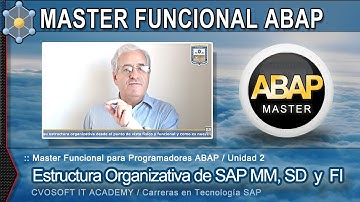 ABAP Master Funcional - Unidad 2: Las Estructuras Organizativas de SAP | CVOSOFT.com