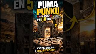 PUMA PUNKU explicación en 50 segundos