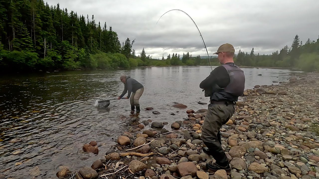 Harry's River Newfoundland 2025