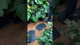 Aren't you that guy who makes plant videos? This question hits different #jishnuuthaman #garden #...