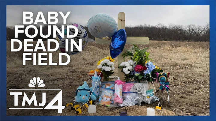 Newborn baby found dead in field, Wisconsin police...