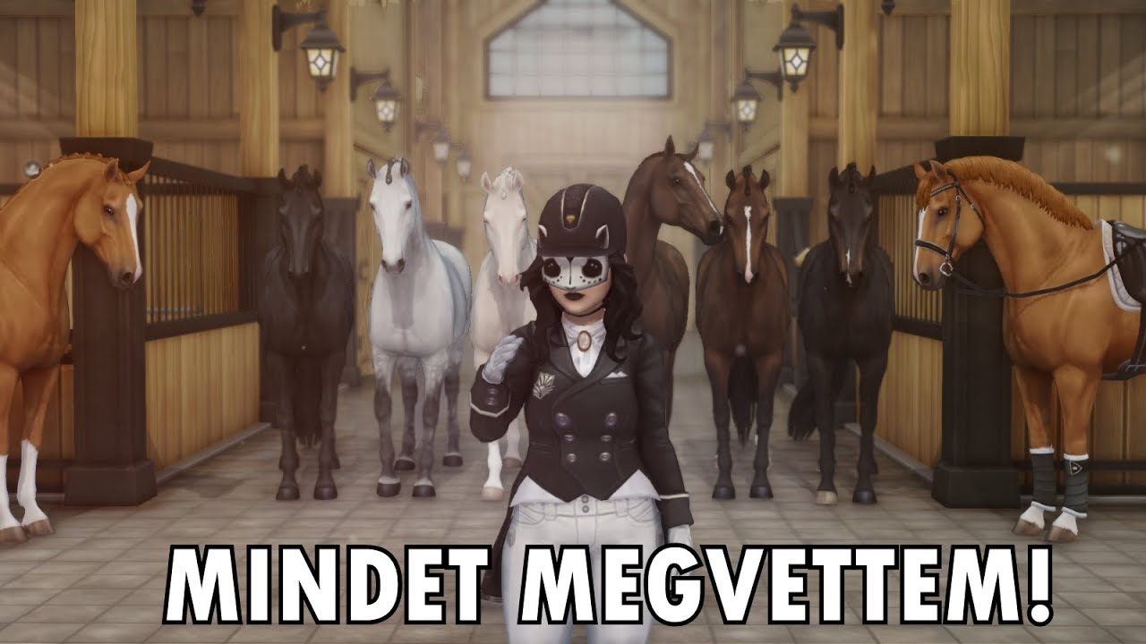 Megvettem az ÖSSZES Holland Melegvérűt!