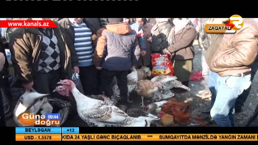 GUNE DOGRU ZAQATALA HEFTE BAZARI