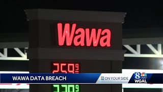 Celebrity What you need to know about the Wawa data breach Net Worth