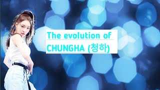 Celebrity The evolution of CHUNGHA (청하) Wealth