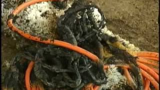 Extension Cord Blamed For Rogers Fire