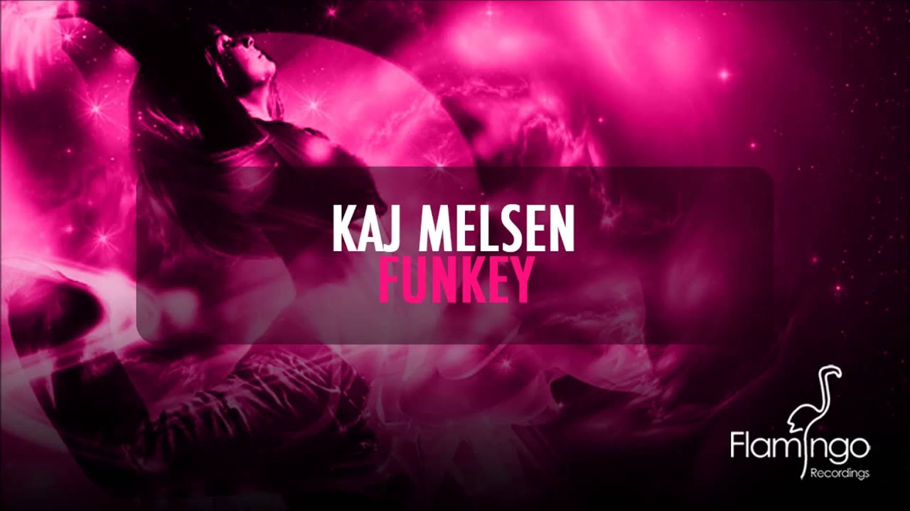 Kaj Melsen - Funkey (Preview) [Flamingo Recordings]