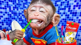 Chu Chu baby monkey eats rainbow ice cream with puppies and swims with ducklings in the garden