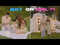 OUR GENDER REVEAL!! image