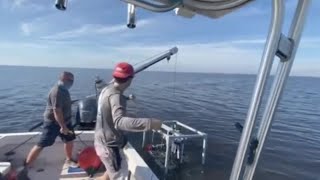 New Technology Deployed In Effort To Combat Toxic Blue-Green Algae On The Treasure Coast