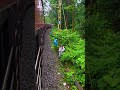 #shorts - Going to Dudhsagar waterfall #reelsinstagram #reels #railway #followers #short