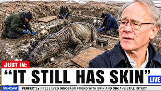 They Found a Perfectly Preserved Dinosaur With Skin and Organs Fully Intact