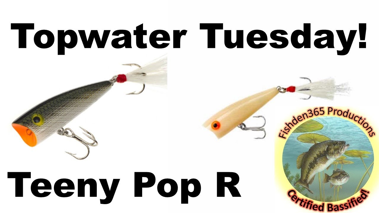 The Rebel Teeny Pop R