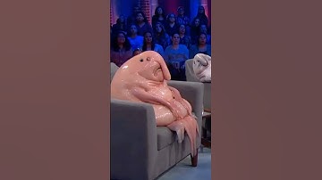 😂🐟 Blobfish shock! Finds out he’s NOT the father live on air… and celebrates like a star! 🎉