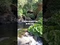 hidden swimming hole #hiddengems #swimming #hiking #california