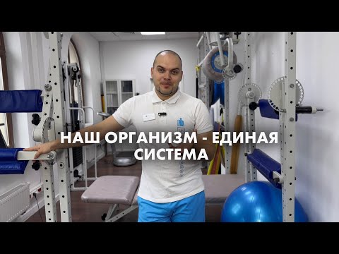 В организме все связано. Как это работает? Авторская методика 5 уровней от реабилитолога