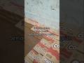 Stripping dalam cargo cocorio, semangat pejuang rupiah #stecustecu #pejuangrupiah #container