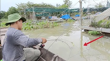 Câu trúng ổ Tôm càng - Kêu trời vì lý do này | Câu tôm càng Sông T399
