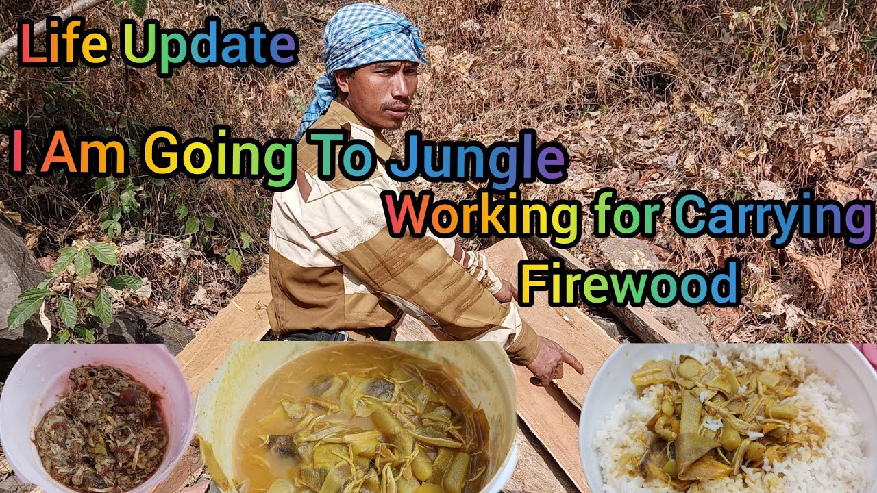 Life Update || I Am Going To Jungle || Working For Carrying Firewood 