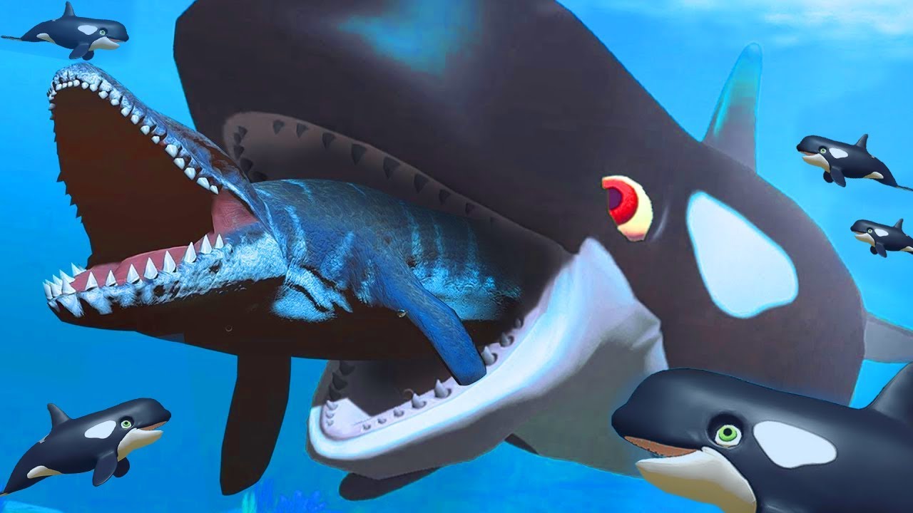 ¿Que Animal Se Come A La Orca?