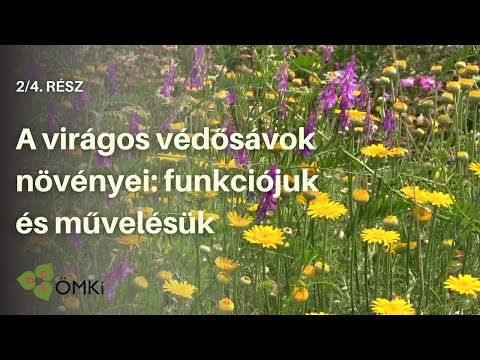 Videó: Az ápolási szempontok ugyanazok, mint az ápolási beavatkozások?