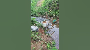 Hydraulic bird repellent device test record