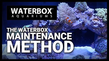 Episode 137 - The Waterbox Method