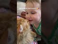 Cats give affection too! #catlife #cat #cutecat #cats #catvideos