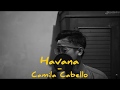Havana  camila cabello  arvian dwis cover