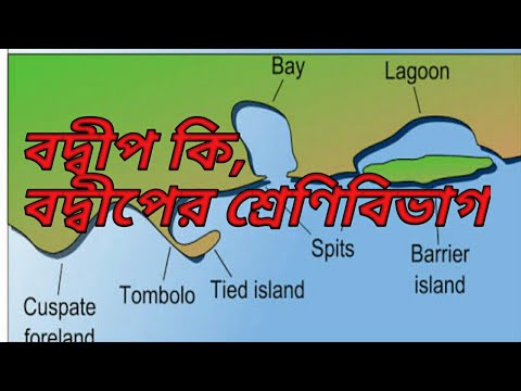 à¦¬ à¦¦ à¦¬ à¦ª à¦• à¦­ à¦¬ à¦¸ à¦· à¦Ÿ à¦¹à¦¯ à¦¶ à¦° à¦£ à¦¬ à¦­ à¦— Definition And Classification Of Delta à¦¬à¦¦ à¦¬ à¦ª à¦• Class10 Youtube