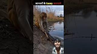 bandar aur Billi ke funny moments #funny #song #music #cricket #love