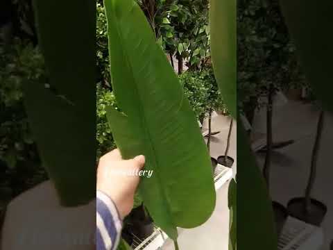 Artificial plant ikea