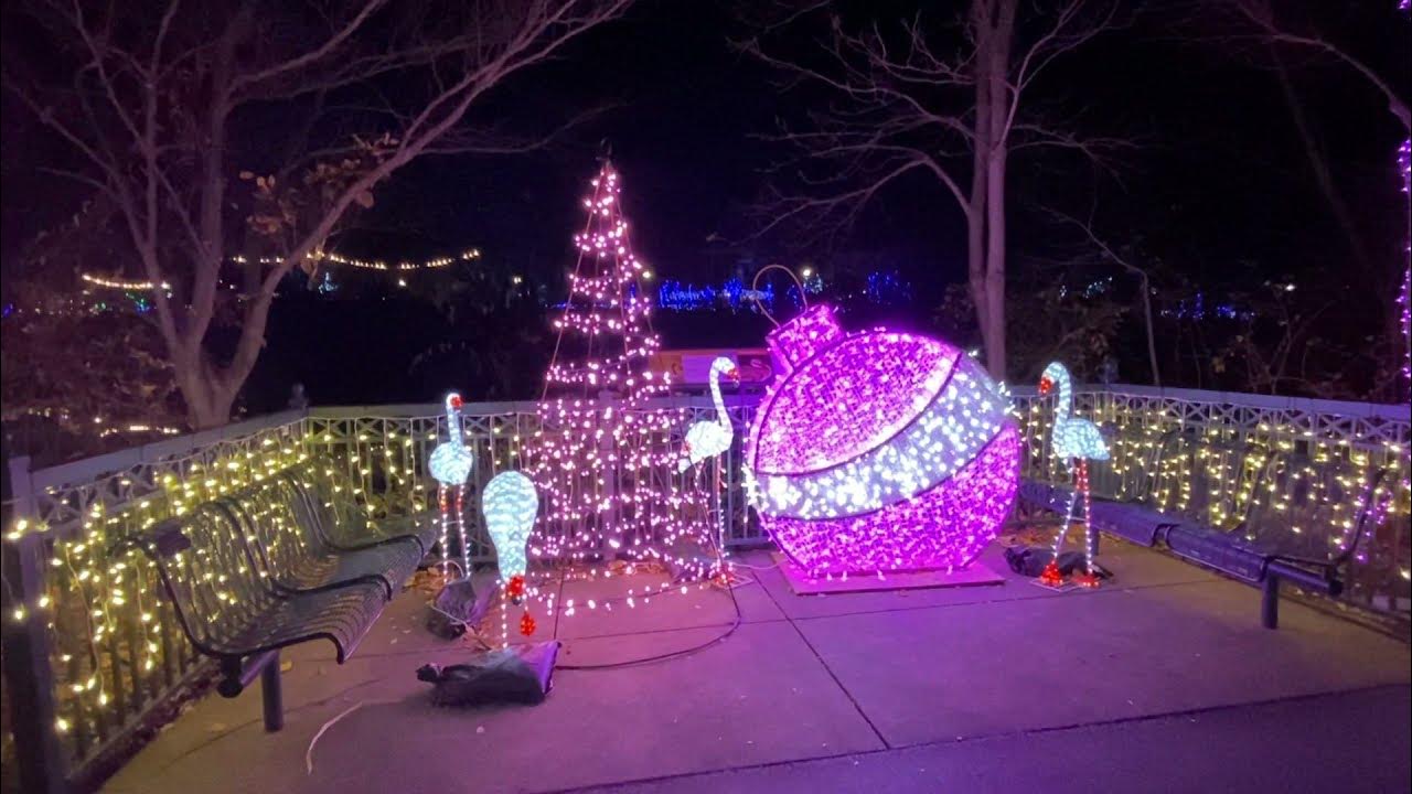 Christmas 2021 St. Louis Zoo Wild Lights Walk Thru with Hot Cocoa