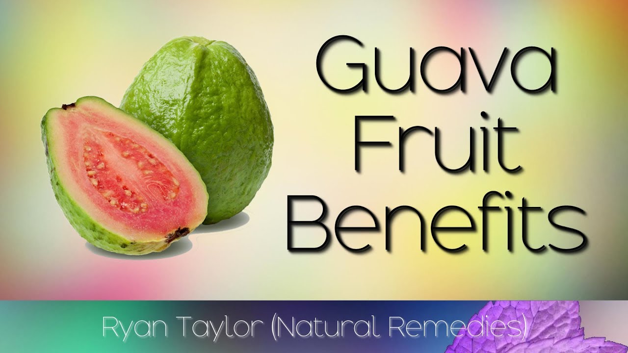 Fructe de guava sau măr de peste mări din pădurea tropicală - Ficus