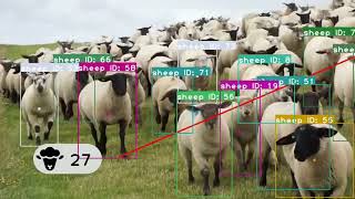 นับแกะด้วย Yolov8 Object Detection + SORT Object Tracking | Computer Vision