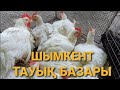 Тауық базар Шымкент 26.06.21ж.