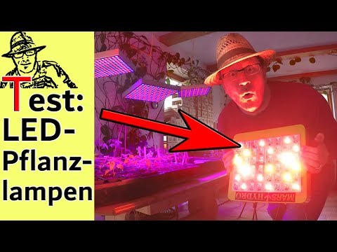 Video: Was Sind Die Vorteile Von LED-Pflanzenlampen