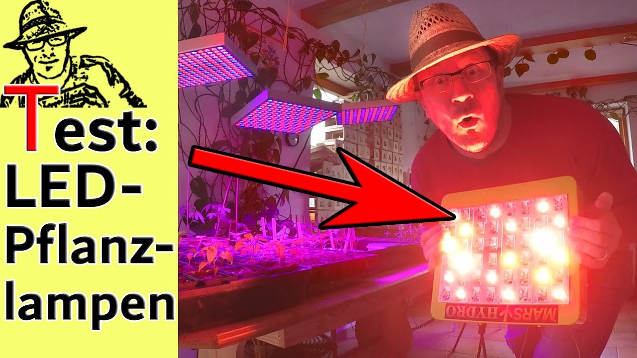 Teuer Oder Reicht Billig Vergleichstest LED Anzuchtlampen YouTube teuer-oder-reicht-billig-vergleichstest-led-anzuchtlampen-youtube