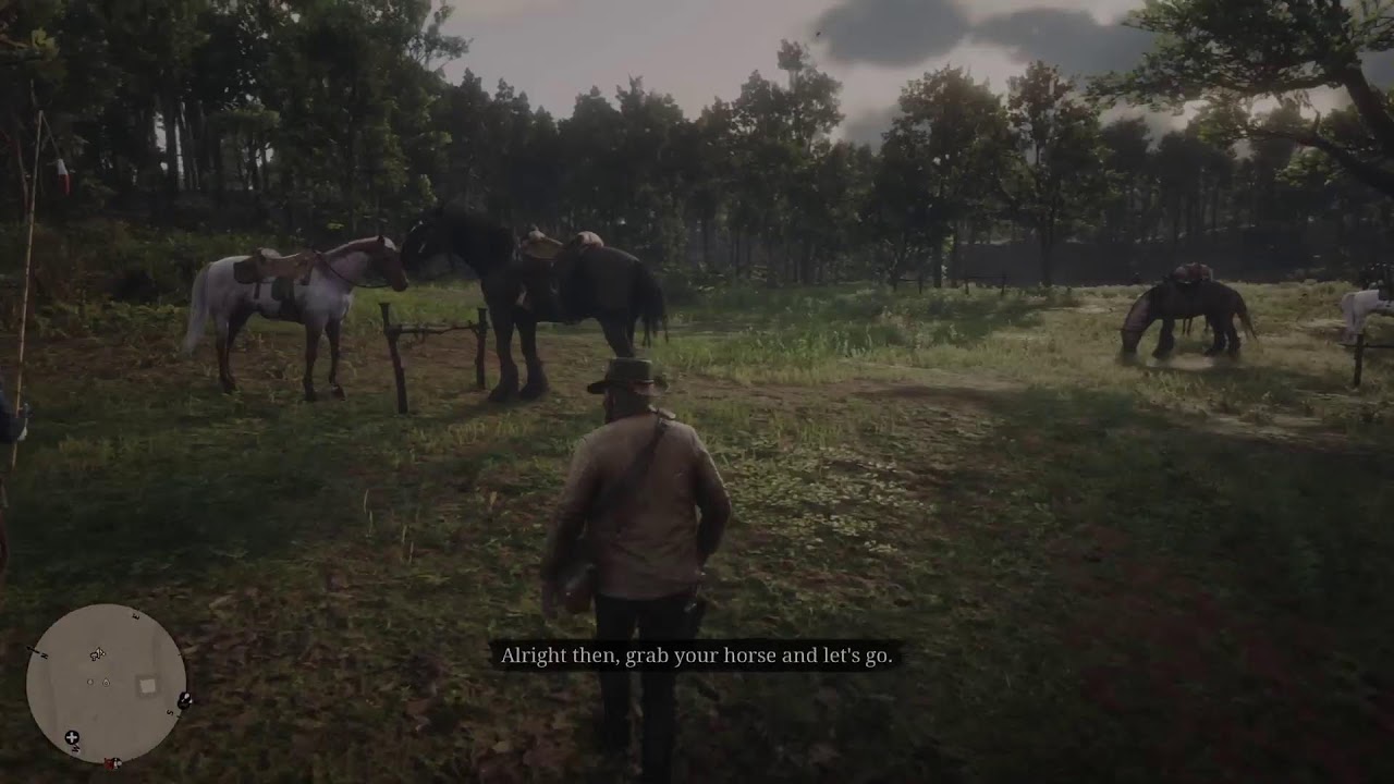 Day3 of Red Dead Redemption 2, The Platinum Journey begins #platniumtrophy #trophyhunting #RDR2